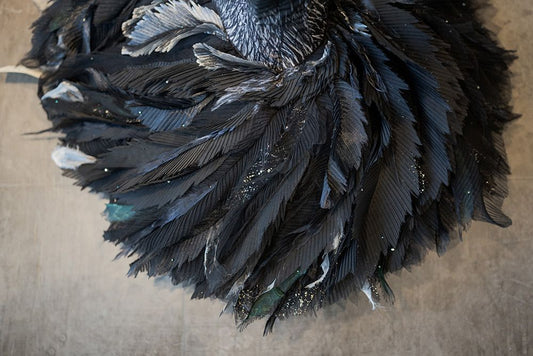 SWAN LAKE, National Ballet Canada