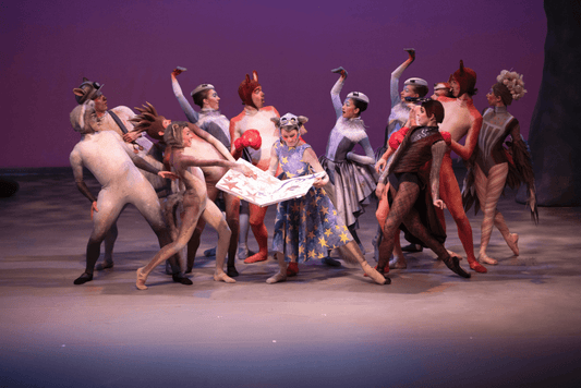 POSSUM MAGIC - The Australian Ballet School